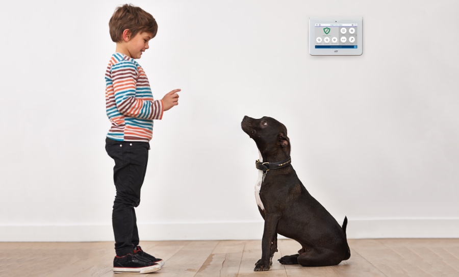 Lincolnshire security systems